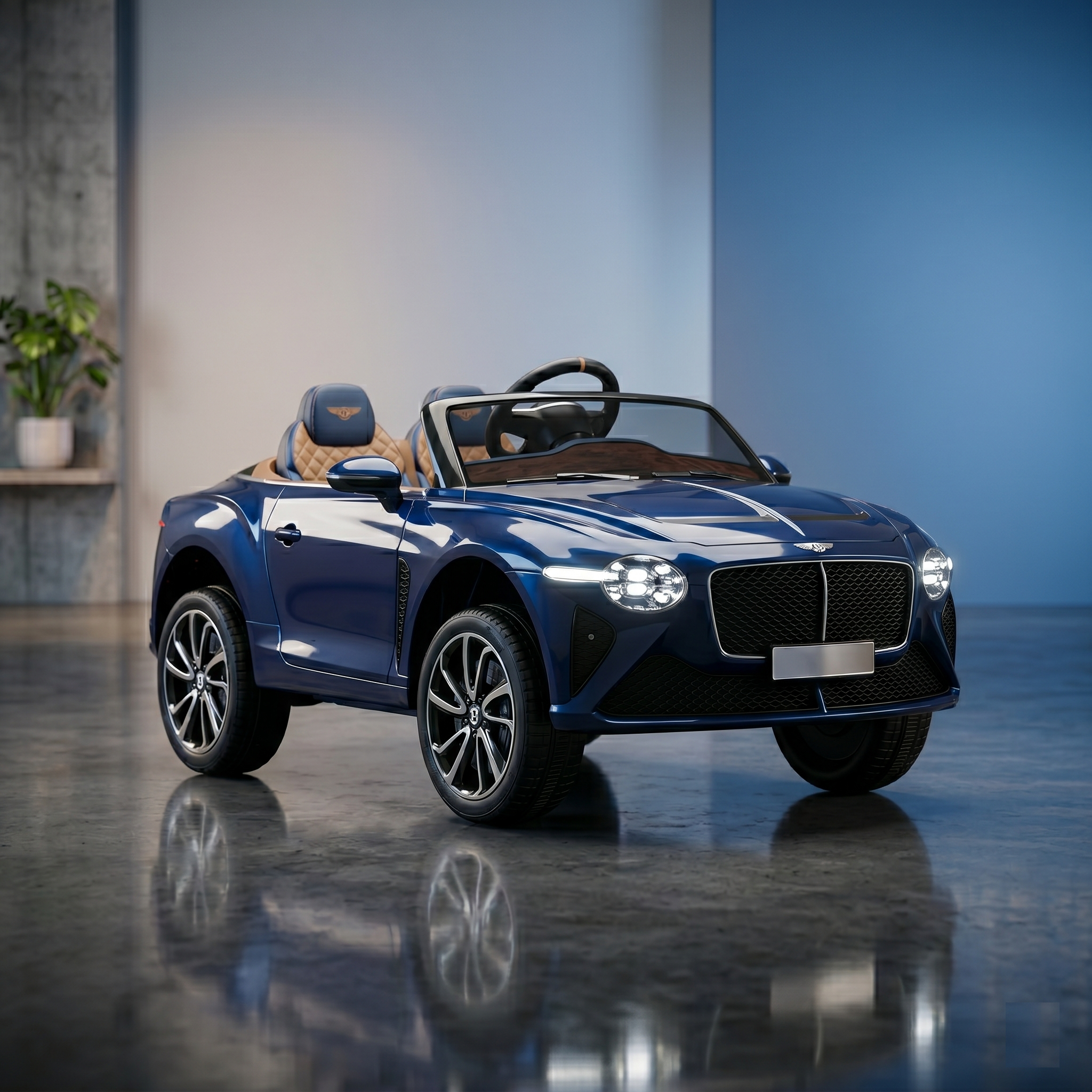 Electric Riding Vehicles