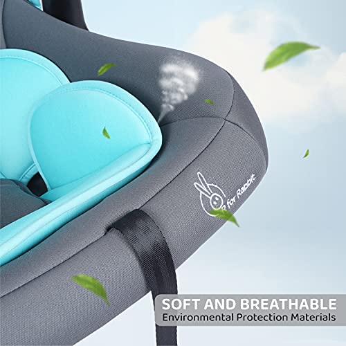 Picaboo Car Seat  - R For Rabbit
