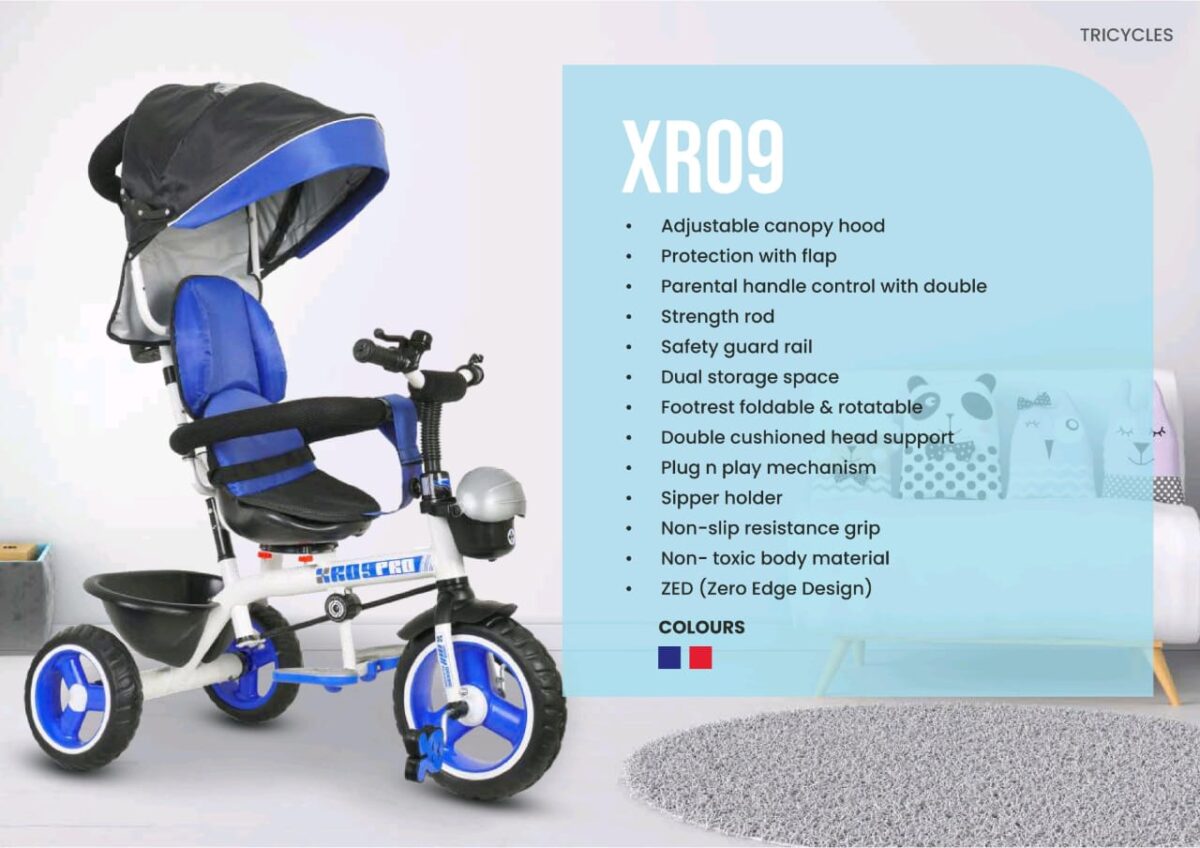 XR09 Tricycle - Luusa