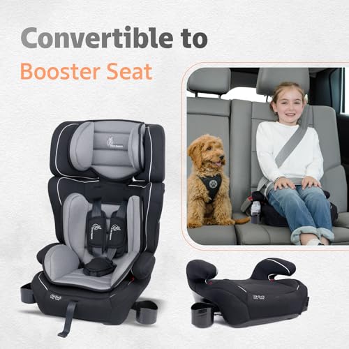 Jumping Jack Grand Convertible Baby Car Seat - R For Rabbit