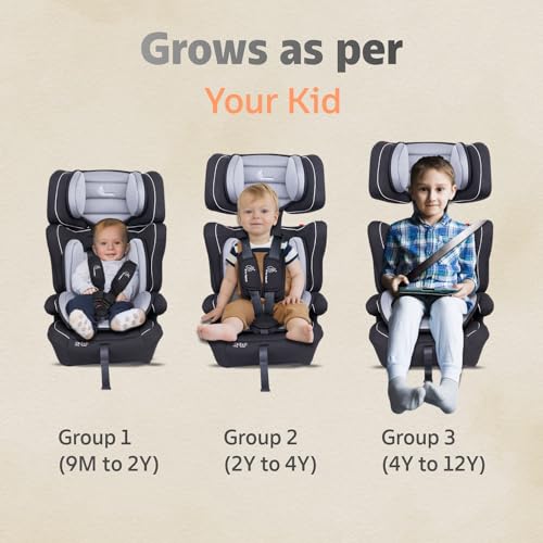 Jumping Jack Grand Convertible Baby Car Seat - R For Rabbit