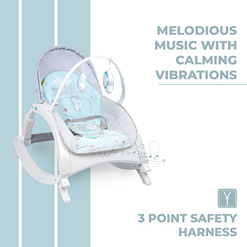 Rock N Play Baby Rocker - R for Rabbit