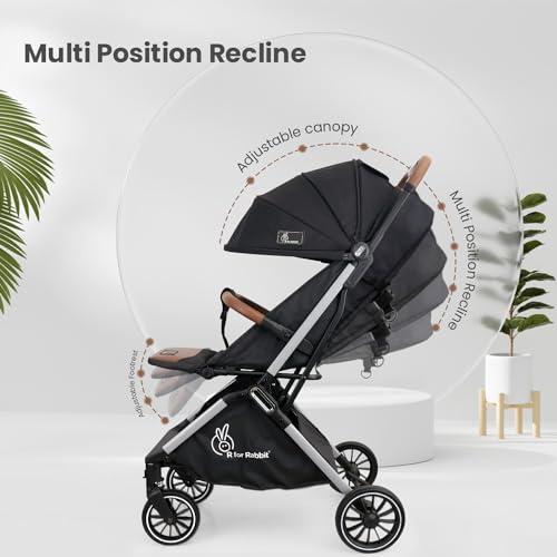Street Smart Baby Stroller - R for Rabbit