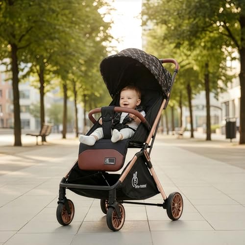 Street Smart Baby Stroller - R for Rabbit