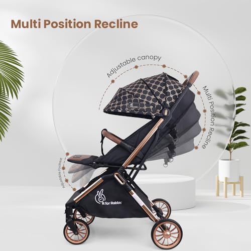 Street Smart Baby Stroller - R for Rabbit