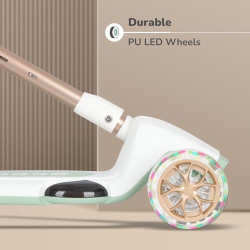 Road Runner Blaze Kids Scooter - R for Rabbit