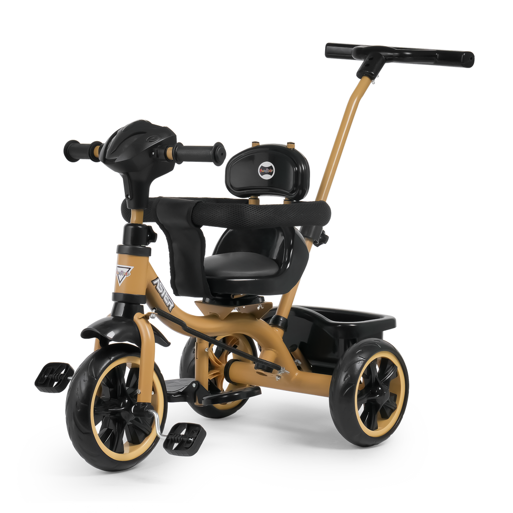 Aster 3 in 1 Stroller Trike FT - 570 – Fun Ride Toys