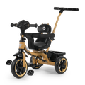 Aster 3 in 1 Stroller Trike FT - 570 – Fun Ride Toys