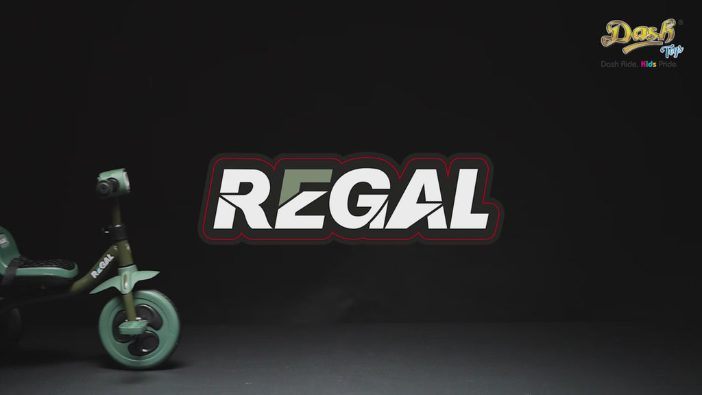 Regal Trike DT-790 - Dash Toys
