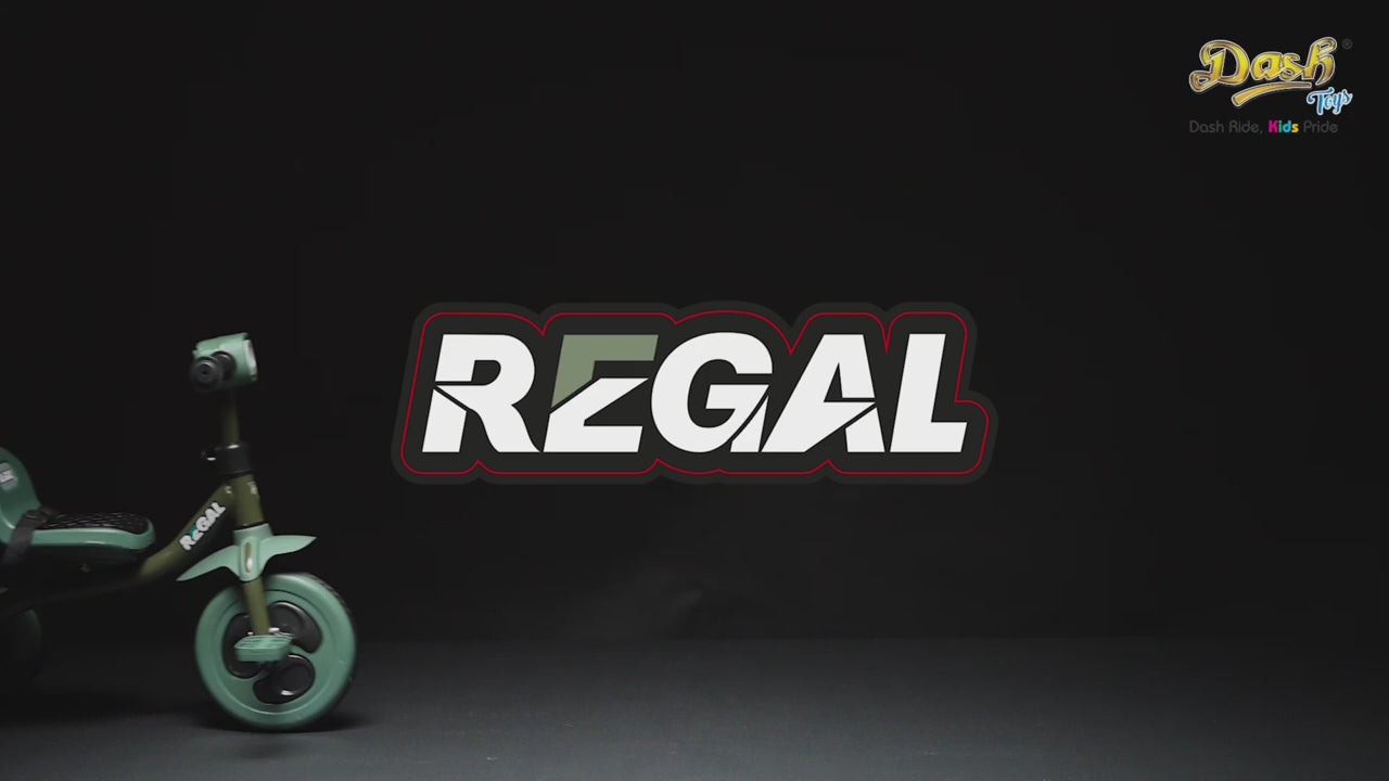 Regal Trike DT-790 - Dash Toys