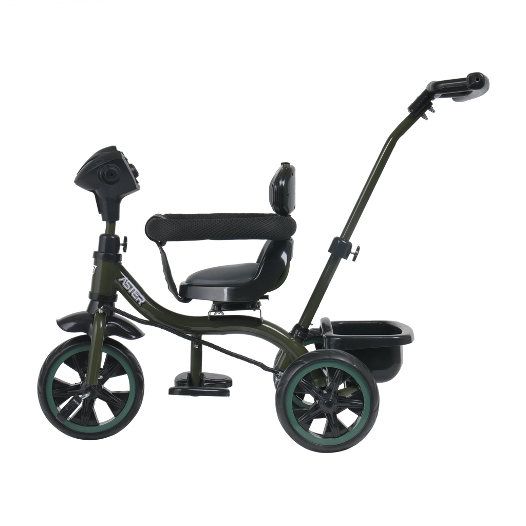 Aster 3 in 1 Stroller Trike FT - 570 – Fun Ride Toys