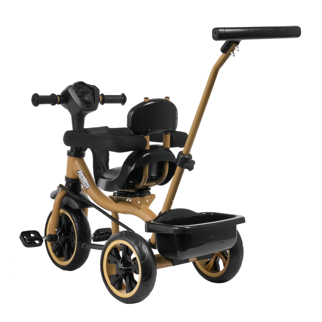 Aster 3 in 1 Stroller Trike FT - 570 – Fun Ride Toys