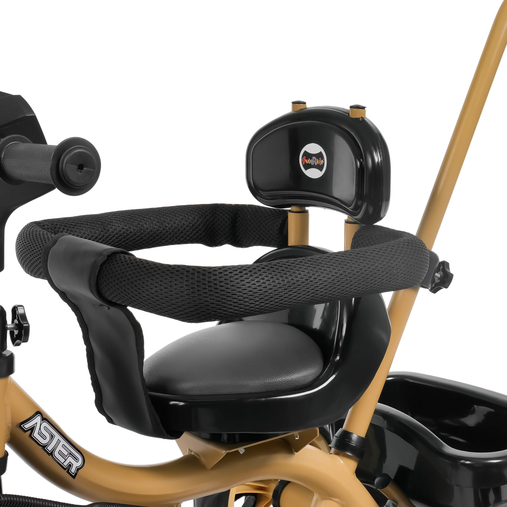 Aster 3 in 1 Stroller Trike FT - 570 – Fun Ride Toys