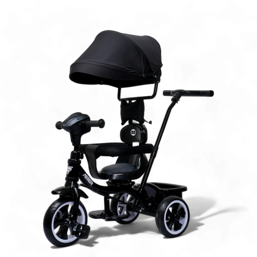 Aster 4 in 1 Stroller Trike FT - 560 – Fun Ride Toys