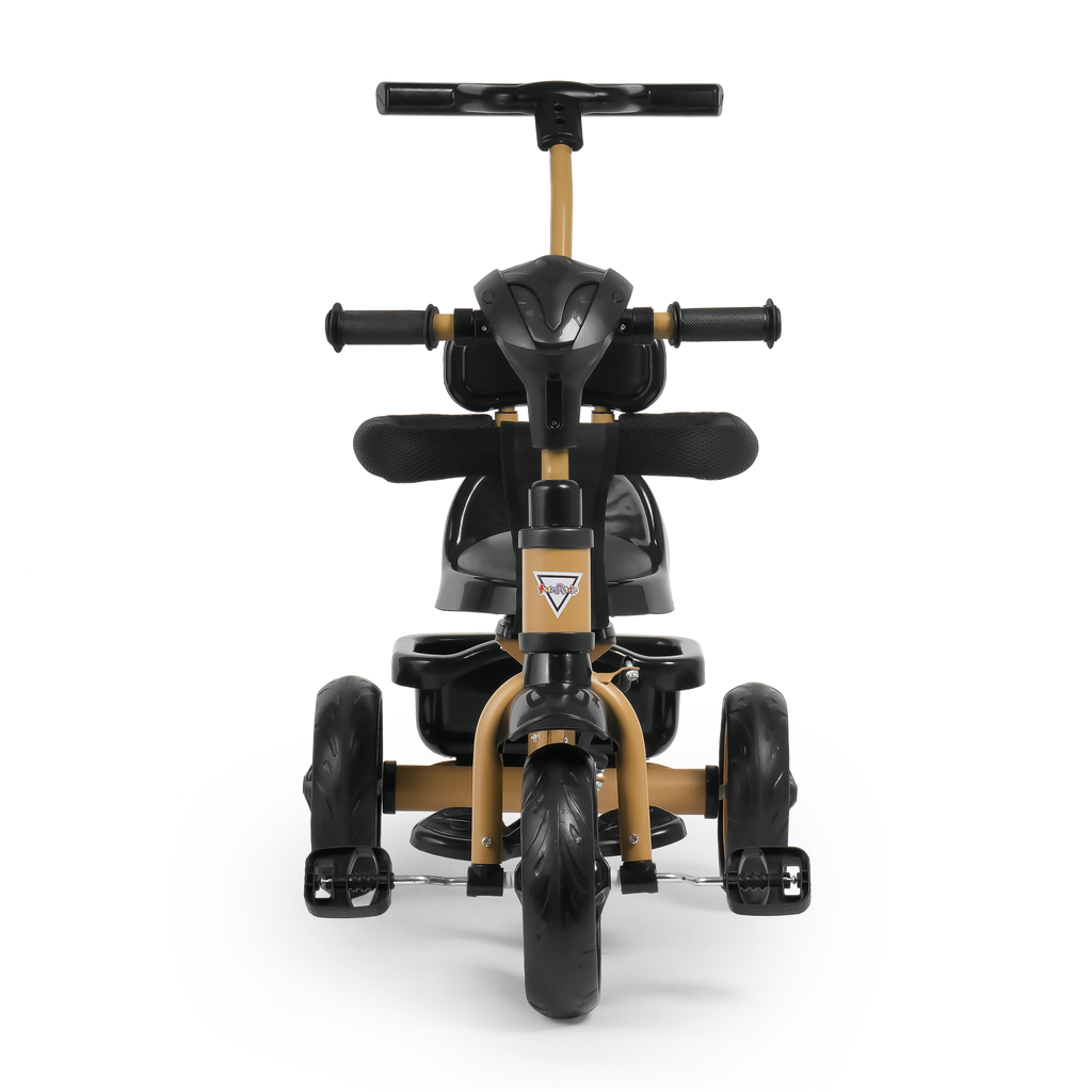 Aster 3 in 1 Stroller Trike FT - 570 – Fun Ride Toys
