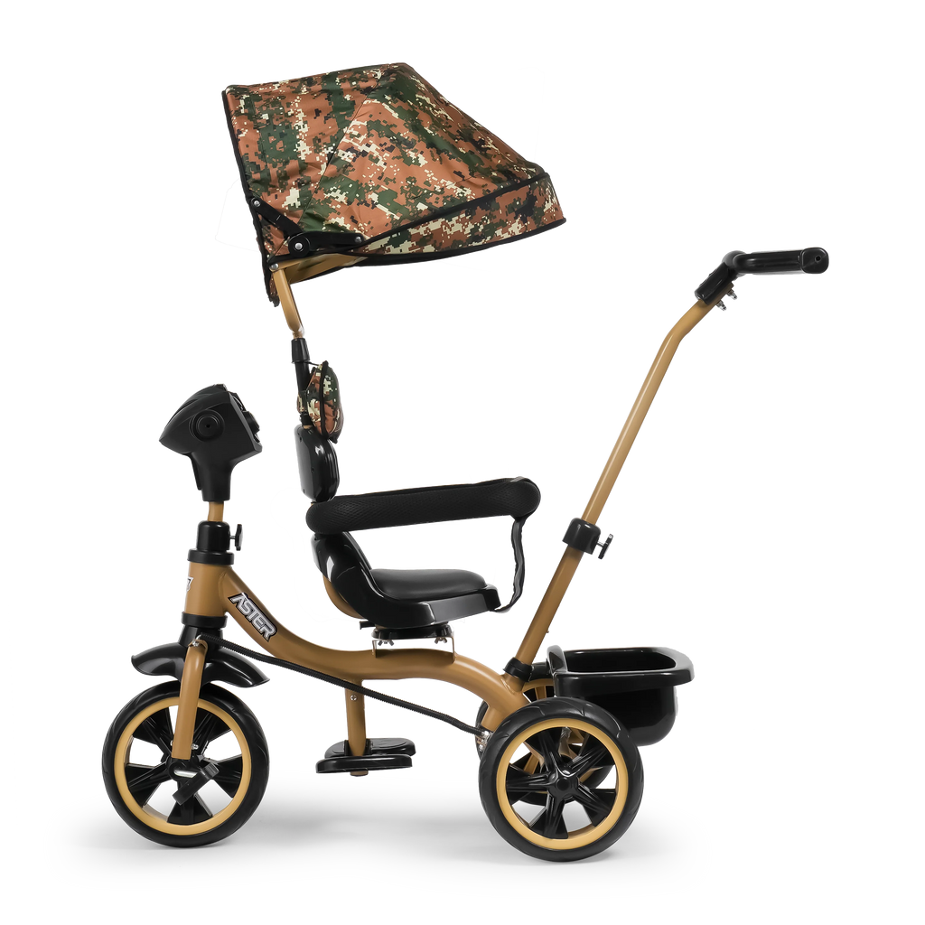 Aster 4 in 1 Stroller Trike FT - 560 – Fun Ride Toys